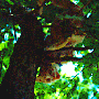 a.1chat_html_m17ed6c53.gif
