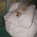dscn0073.jpg