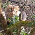 dscn0174.jpg