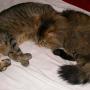 dscn0185.jpg