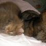 dscn0254.jpg