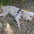 dscn2673.jpg