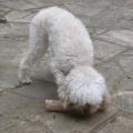 dscn9711.jpg