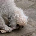 dscn9718.jpg