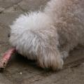 dscn9720.jpg