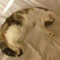 p1130323_doudou.jpg