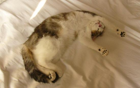 p1130323_doudou.jpg