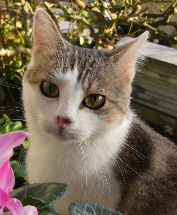 portraitdoudou.jpg