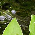 dscn0803.jpg
