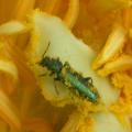 dscn1140.jpg