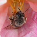 dscn1408.jpg