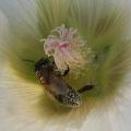 dscn2880.jpg