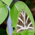 dscn3447.jpg