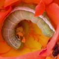 dscn5210.jpg