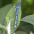 dscn6612.jpg