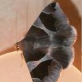dscn7572.jpg