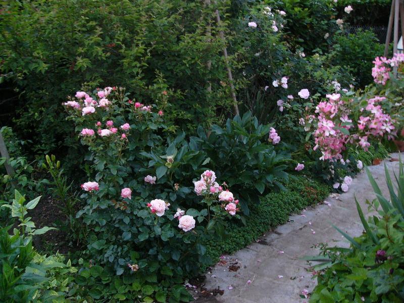 p1190940.jpg