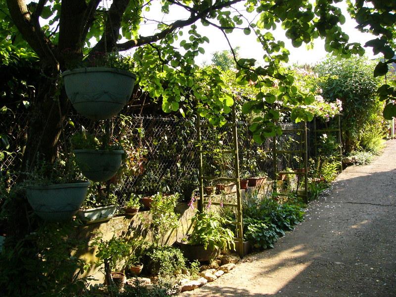 p1200004.jpg