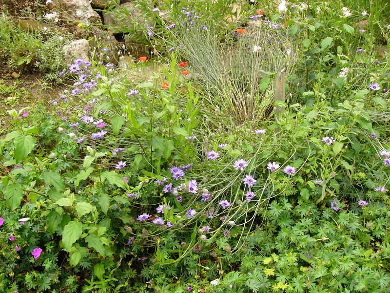 p1220116.jpg
