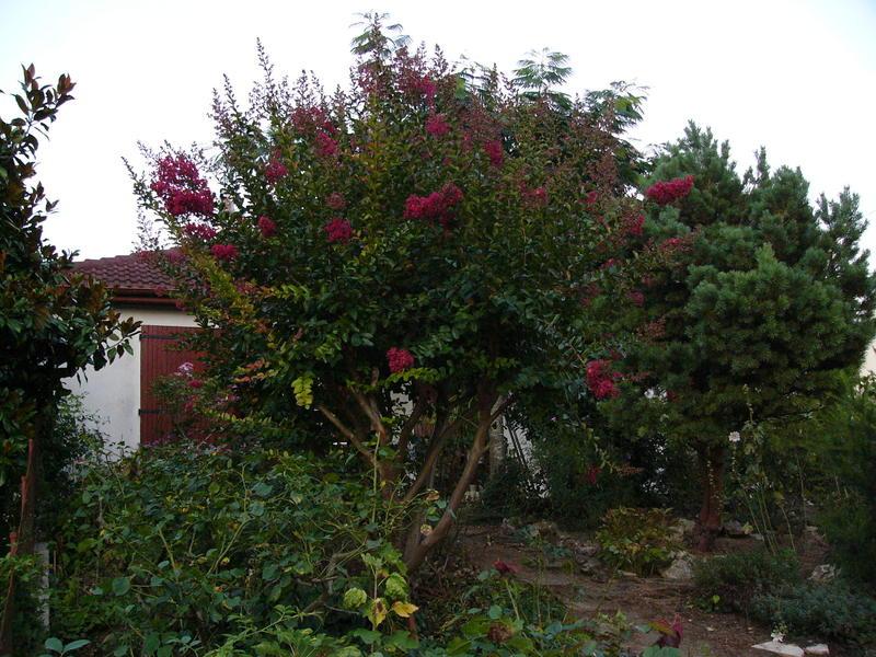 p1240525.jpg