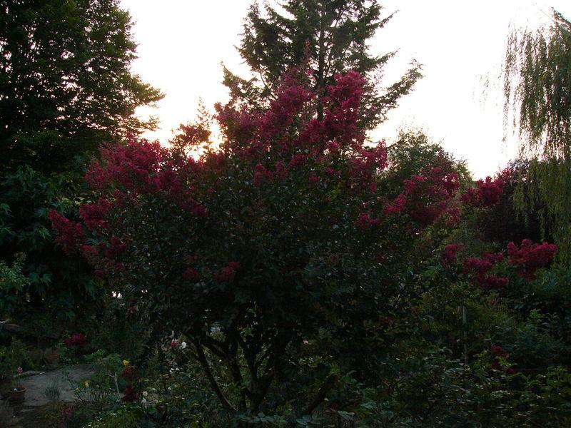 p1250393.jpg
