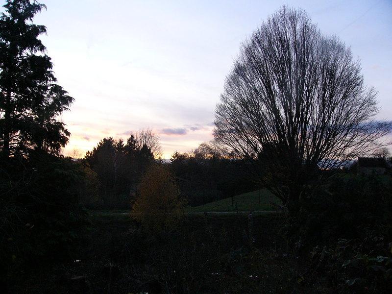p1280390.jpg