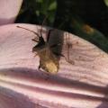 p1350650.jpg