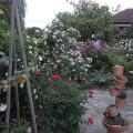 r0017682r.jpg