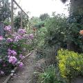 r0018071r.jpg