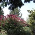 r0021190_red.jpg