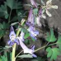 r0023502r.jpg