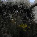 r0023690r.jpg