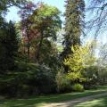 r0024485r.jpg