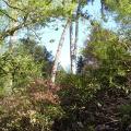 r0024504r.jpg