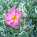 r0024633r.jpg