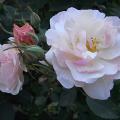 r0024761r.jpg