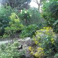 r0024804r.jpg