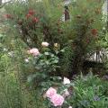 r0025045r.jpg