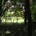 r0025405r.jpg