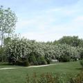 r0025417r.jpg