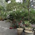 r0025599r.jpg