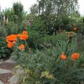 r0025665r.jpg