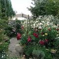 r0025817r.jpg