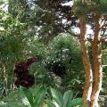 r0025827r.jpg