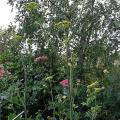 r0026278r.jpg
