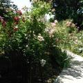 r0026377r.jpg