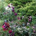 r0026715r.jpg