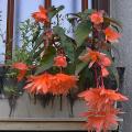 r0026725r.jpg