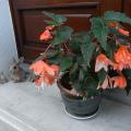 r0026726r.jpg