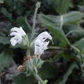 r0027633r.jpg